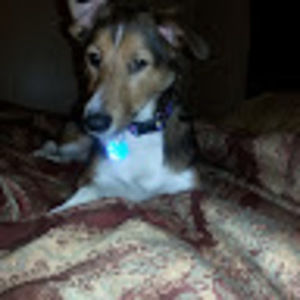 Meet your Posher, Lorie